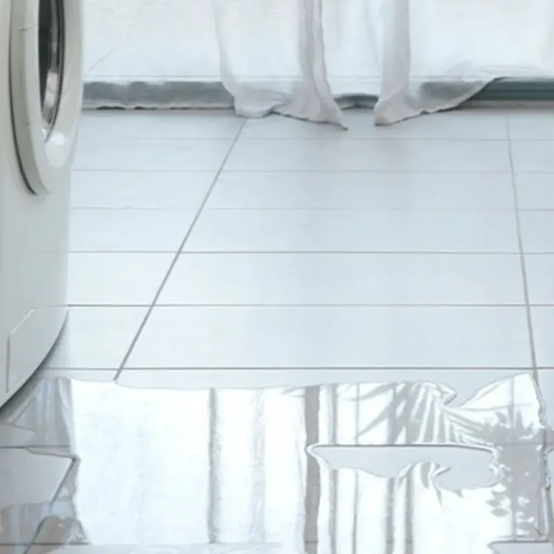 Appliance Leak Cleanup in Seneca County, NY