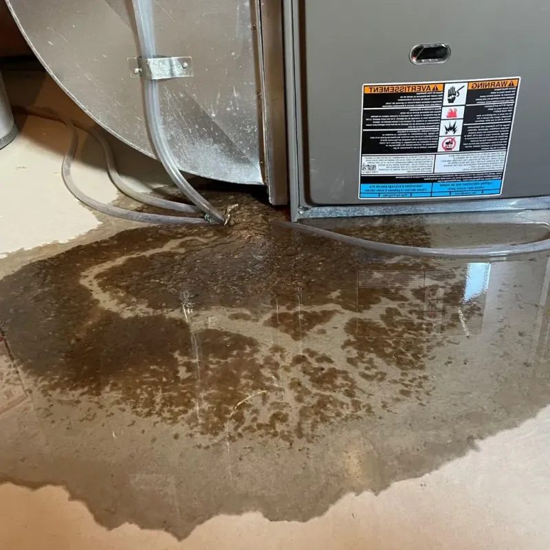 Pipe Burst and Leak Restoration in Seneca County, NY
